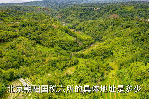 國稅六辦指什么，北京朝陽國稅六所的具體地址是多少