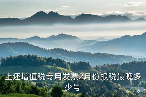 己開具專用票最遲什么時侯報稅，銷售貨物開具了發(fā)票什么時候報稅