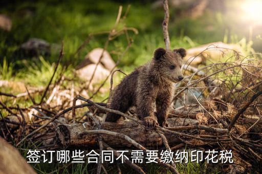 什么合同需要交印花稅，要交印花稅的合同有哪些