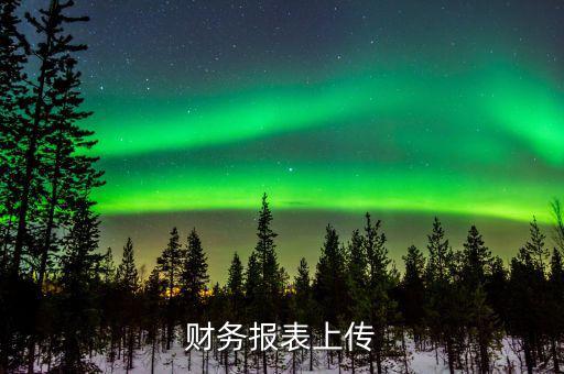 每年上傳什么財務(wù)報表，報哪些稅時需要上傳財務(wù)報表麻煩詳細(xì)一點報增值稅時怎樣上傳財