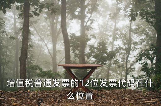 12位發(fā)票代碼是什么，增值稅普通發(fā)票的12位發(fā)票代碼在什么位置