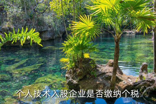 個(gè)人專利入股繳什么稅，請教稅法高手個(gè)人專利技術(shù)入股需繳稅嗎