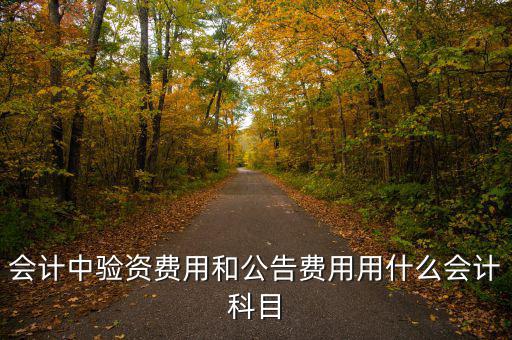 會計中驗資費(fèi)用和公告費(fèi)用用什么會計科目