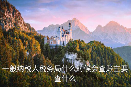 稅局什么時(shí)間搖號稽查，一般納稅人稅務(wù)局什么時(shí)候會查賬主要查什么
