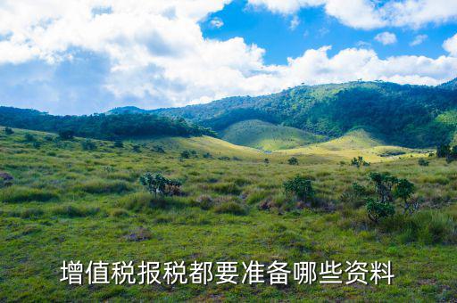 報(bào)稅需要帶什么資料，增值稅報(bào)稅都要準(zhǔn)備哪些資料