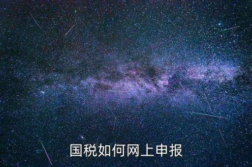企業(yè)國稅申報上什么網(wǎng)，企業(yè)稅務(wù)申報去哪個網(wǎng)站