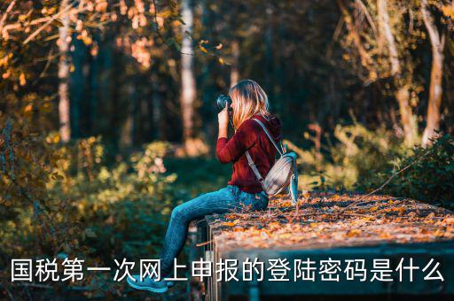 深圳網(wǎng)廳國(guó)稅登錄秘碼是什么意思，稅務(wù)局網(wǎng)站的登入賬戶初始密碼是什么