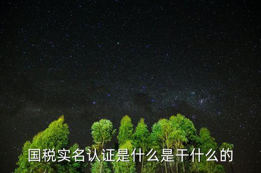 國稅實名制認證要什么手續(xù)，國稅實名認證是什么是干什么的