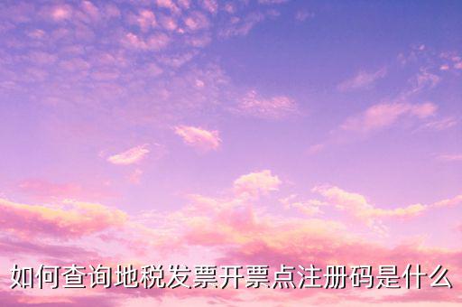 河北地稅發(fā)票的查詢碼是什么，如何查詢地稅發(fā)票開票點注冊碼是什么