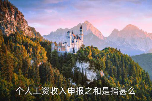 工資稅前加項是什么意思，個人工資收入申報之和是指甚么