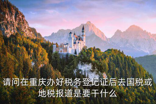 地稅報道是什么，地稅報的是哪些稅月報還是季報還是年報