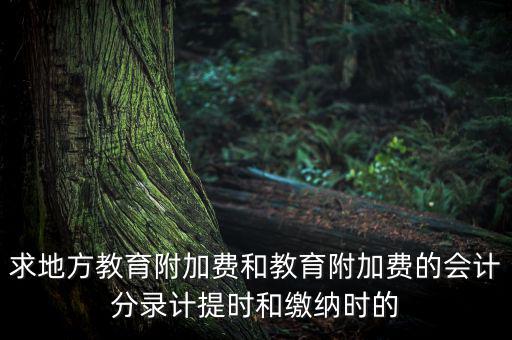 地方教育費(fèi)附加是什么意思，教育費(fèi)附加代表什么意思