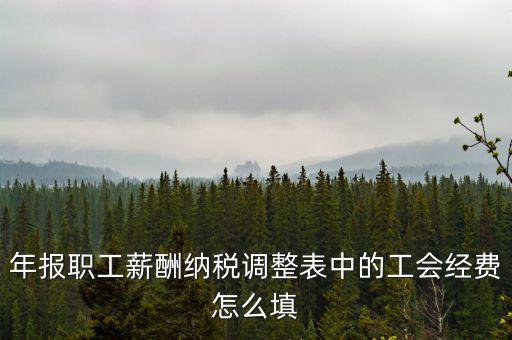 工會經(jīng)費應稅項填什么，網(wǎng)上報稅時又多了一項工會經(jīng)費怎樣填寫計算