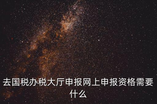 國(guó)稅網(wǎng)上申報(bào)用什么，去國(guó)稅辦稅大廳申報(bào)網(wǎng)上申報(bào)資格需要什么