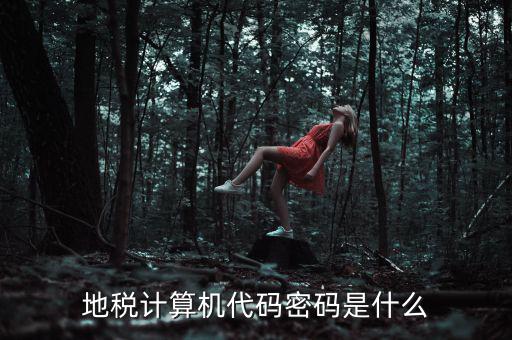 地稅稅務(wù)登陸密碼是什么意思，湖北地稅網(wǎng)絡(luò)發(fā)票登陸密碼是什么急急急