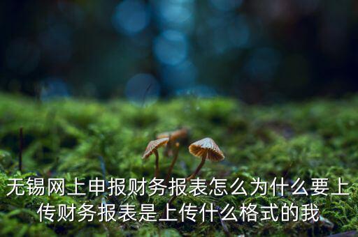 為什么要上傳報表，無錫網(wǎng)上申報財務(wù)報表怎么為什么要上傳財務(wù)報表是上傳什么格式