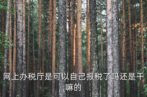 什么是網上辦稅服務廳，電子申報管理系統(tǒng)和網上辦稅大廳有什么不同的