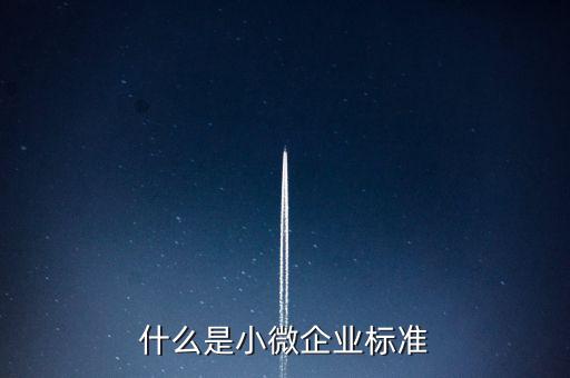 什么樣的標(biāo)準(zhǔn)是小薇企業(yè)，什么是小微企業(yè)標(biāo)準(zhǔn)