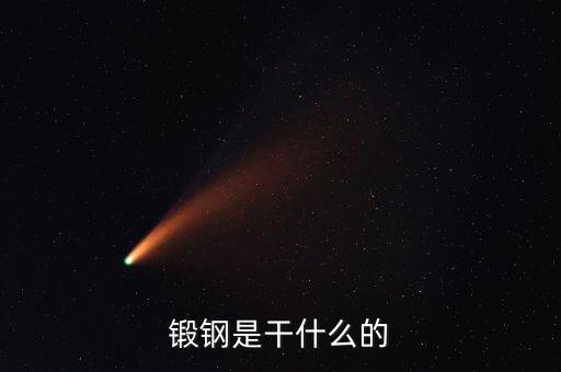 弘遠(yuǎn)泰斯是干什么的，飛踏是干什么的
