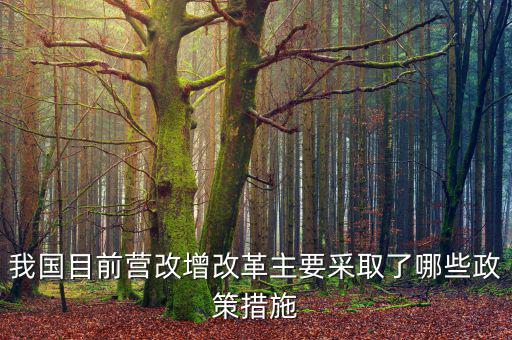 目前營(yíng)改增政策暫不包括什么，營(yíng)改增的范圍不包括  A軌道交通運(yùn)輸 B航空公司出租飛機(jī)配