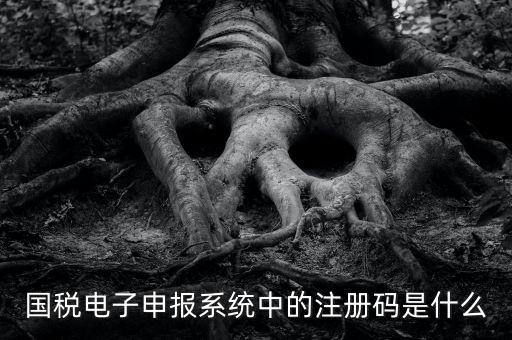 納稅申報碼是什么碼，什么是納稅申報號