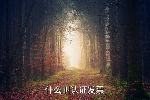 什么叫認(rèn)證發(fā)票，什么叫認(rèn)證增值稅發(fā)票如何認(rèn)證好像還有手工認(rèn)證是怎么回事啊