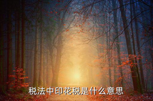 地稅交的5元印花稅是什么意思球鞋，稅法中印花稅是什么意思