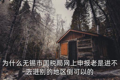無錫網上辦稅服務廳為什么進不去，為什么我登錄不上網上辦稅服務廳啊