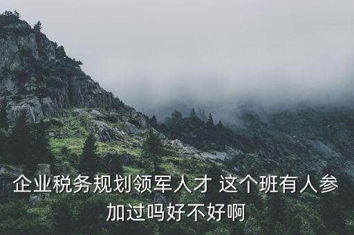 稅務(wù)領(lǐng)軍人才做什么，常溫下超導體可用來做什么