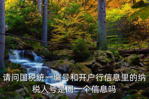 請(qǐng)問(wèn)國(guó)稅統(tǒng)一編號(hào)和開(kāi)戶行信息里的納稅人號(hào)是同一個(gè)信息嗎