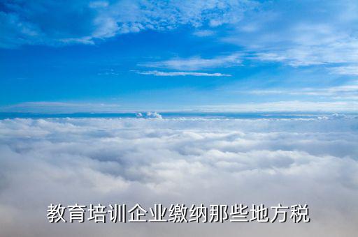 培訓(xùn)機(jī)構(gòu)應(yīng)交什么稅，民辦非企業(yè)培訓(xùn)類學(xué)校應(yīng)交什么稅 請教指點(diǎn)