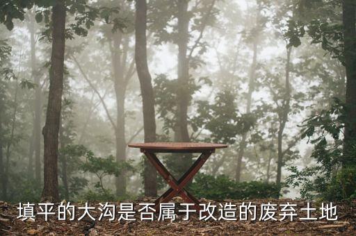 什么叫改造廢棄的土地，填平的大溝是否屬于改造的廢棄土地能否享受相應(yīng)的免稅政策