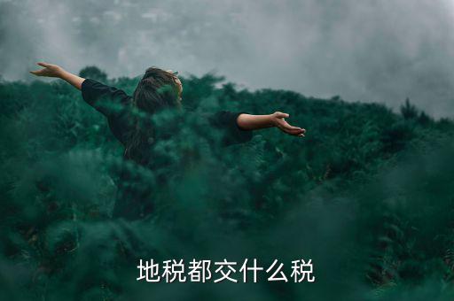 地稅需要報什么稅種，地稅應(yīng)交哪些稅