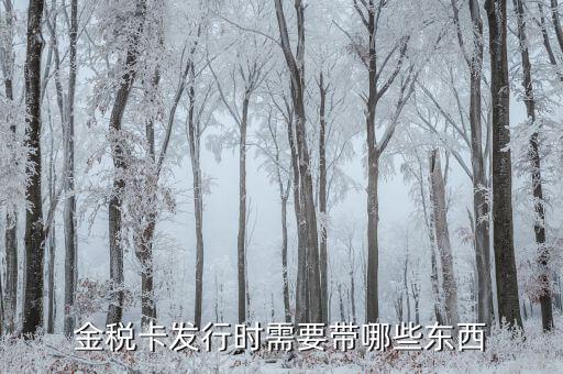 金稅盤發(fā)行帶什么，金稅卡發(fā)行時需要帶哪些東西