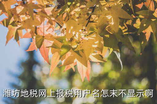 山東濰坊報稅平臺帳號是什么，地稅申報的用戶名和密碼是什么