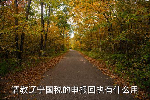 申報回執(zhí)有什么用，申訴以后的回執(zhí)編有什么用