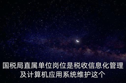 國稅局直屬單位崗位是稅收信息化管理及計算機應用系統(tǒng)維護這個