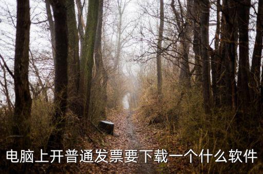 網(wǎng)絡(luò)開票需要下載什么軟件下載，電腦打發(fā)票是不是要下載一個(gè)什么軟件
