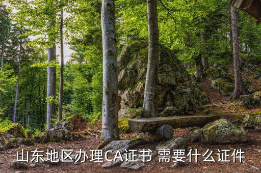 開通ca用什么資料，電子稅務(wù)局CA證書申請(qǐng)資料