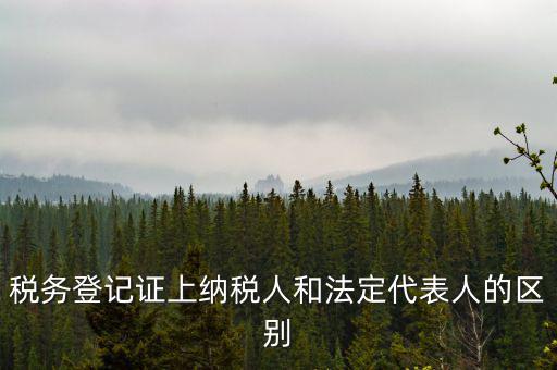 納稅人法定人是什么意思，稅務(wù)登記證上納稅人和法定代表人的區(qū)別
