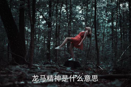 湖北國稅精神是什么意思，神志不清精神不能集中是什么詞的意思