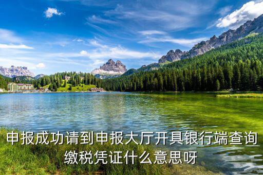 銀行端查詢繳稅憑證蓋什么章，銀行端查詢繳款憑證工會(huì)蓋什么章