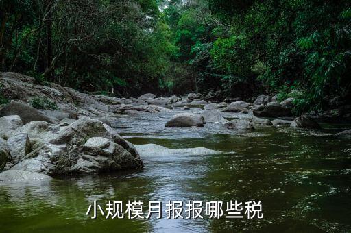 小規(guī)模納稅人季報什么，公司是小規(guī)模納稅人月報和季報時國稅和地稅各需報什么  搜