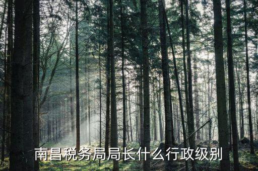 稅務(wù)局局長(zhǎng)是什么級(jí)別，金河鎮(zhèn)稅務(wù)務(wù)局局長(zhǎng)是什么級(jí)別