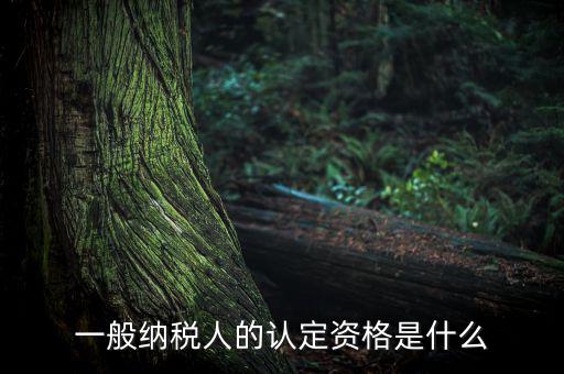 一般納稅人資格證是什么，請問一般納稅人應(yīng)有什么證