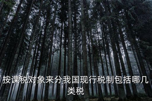 什么是現(xiàn)行稅收制度，說(shuō)明中國(guó)現(xiàn)行稅制增值稅的具體稅制要素有哪些