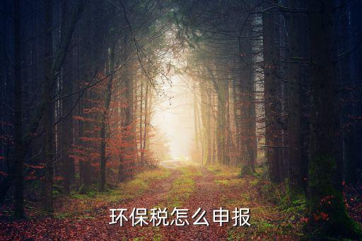 環(huán)境保護(hù)稅按什么申報(bào)，環(huán)保稅怎么申報(bào)