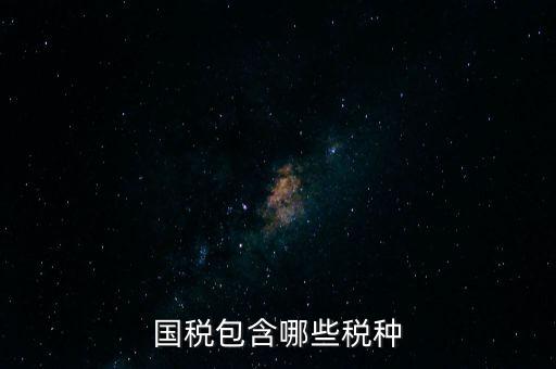 國(guó)稅發(fā)票有什么項(xiàng)目，國(guó)稅通用手工發(fā)票可以開什么項(xiàng)目經(jīng)營(yíng)范圍是道路普通貨物運(yùn)輸