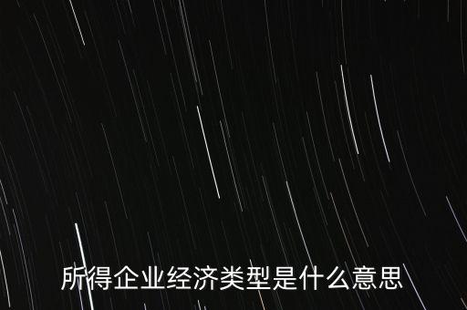 所得項(xiàng)目是什么意思，所得企業(yè)經(jīng)濟(jì)類型是什么意思