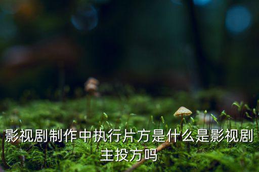 什么是分立主導方，股權分立是什么意思